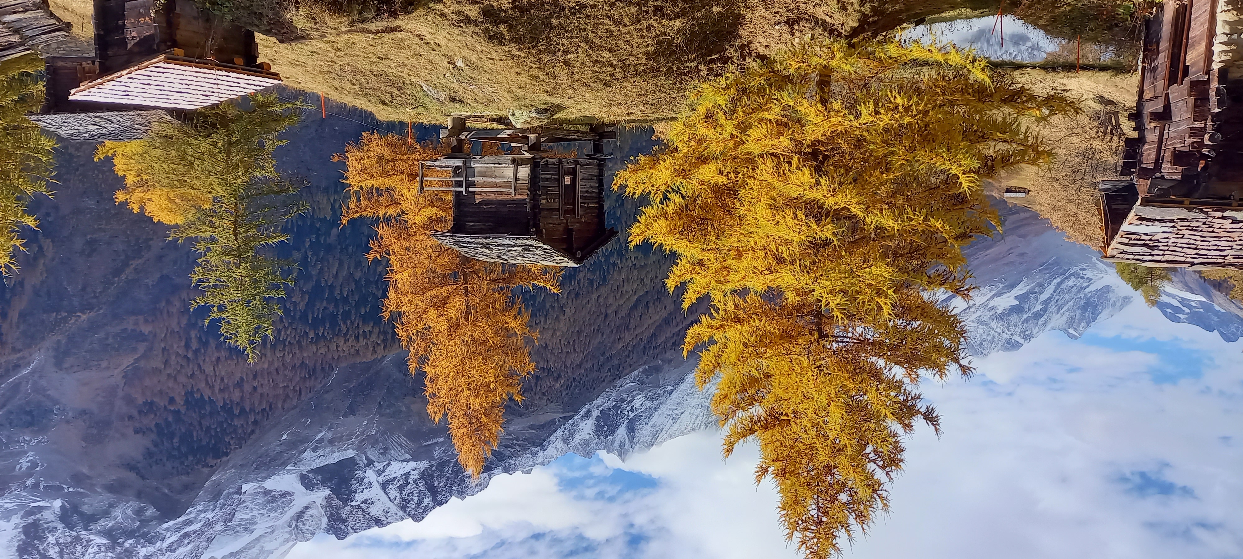 A building with yellow leaves on trees

AI-generated content may be incorrect.